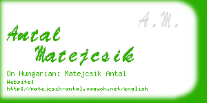 antal matejcsik business card